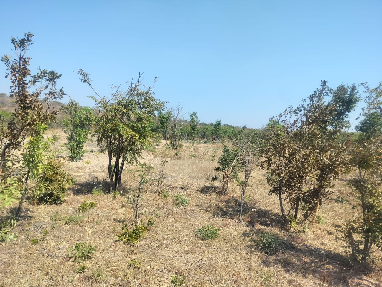 Solatriq Energy solar installation site under construction in Zambia